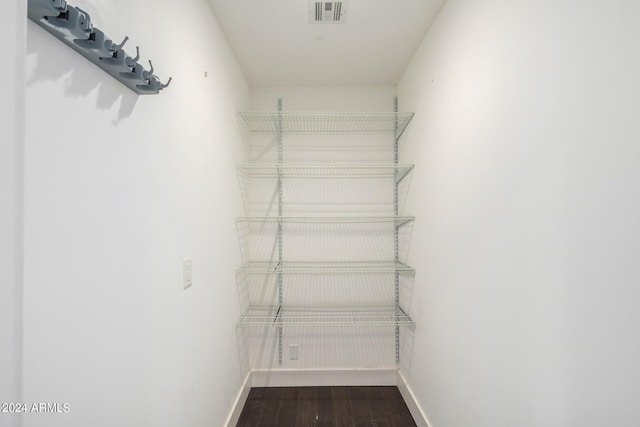 spacious closet with wood-type flooring