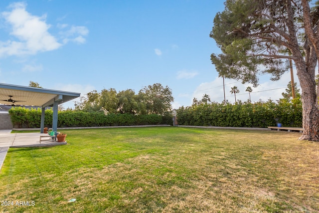 view of yard featuring a patio and ceiling fan