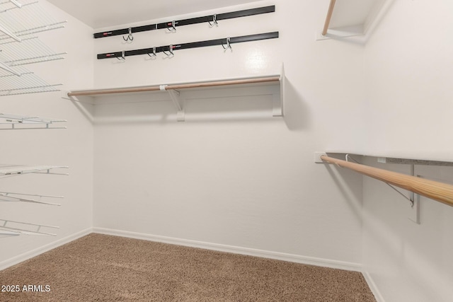25212 W Maldonado Dr, Buckeye, AZ 85326 - spacious closet with carpet floors