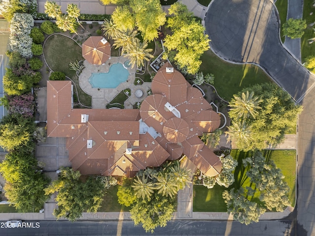 aerial view of a pool