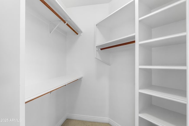view of spacious closet