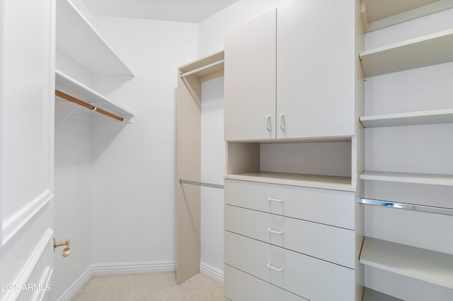 view of walk in closet