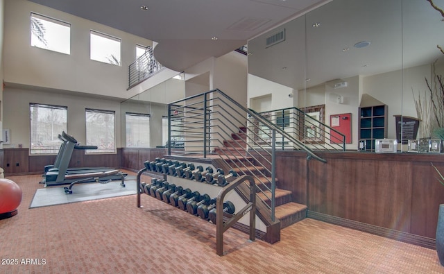 6900 E Princess Dr Unit 1176, Phoenix, AZ 85054 - exercise room featuring a high ceiling and carpet flooring