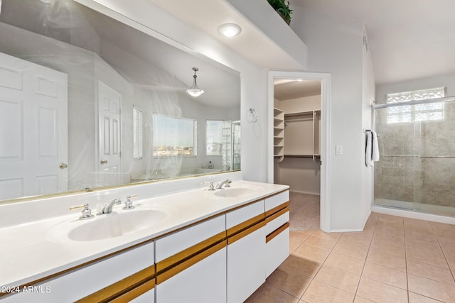 bathroom featuring vanity, tile patterned flooring, plenty of natural light, and a shower with shower door