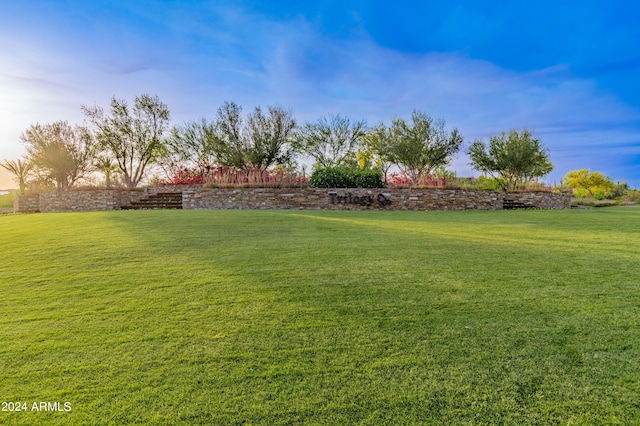 view of yard at dusk