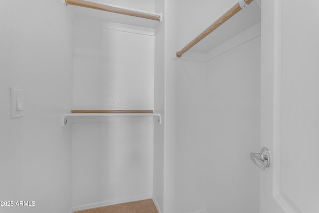 view of walk in closet