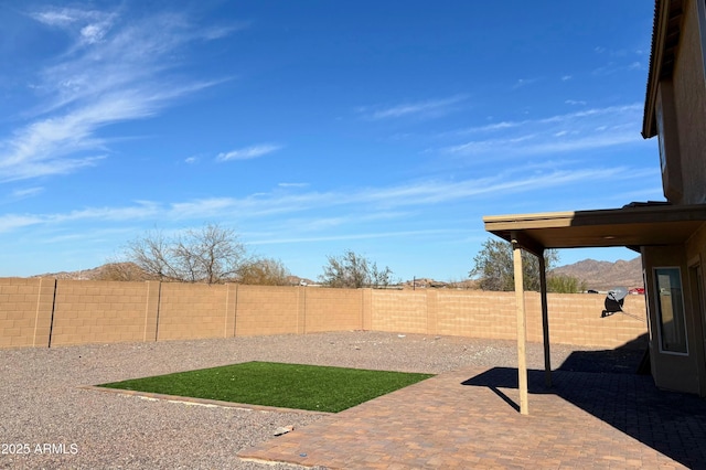 view of yard featuring a patio area and a fenced backyard