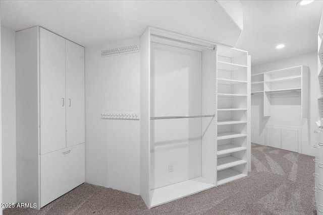 spacious closet with carpet