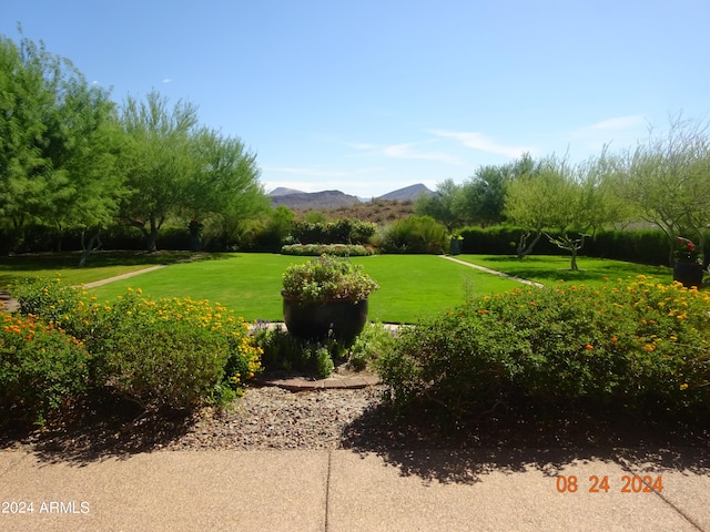 view of community featuring a yard and a mountain view