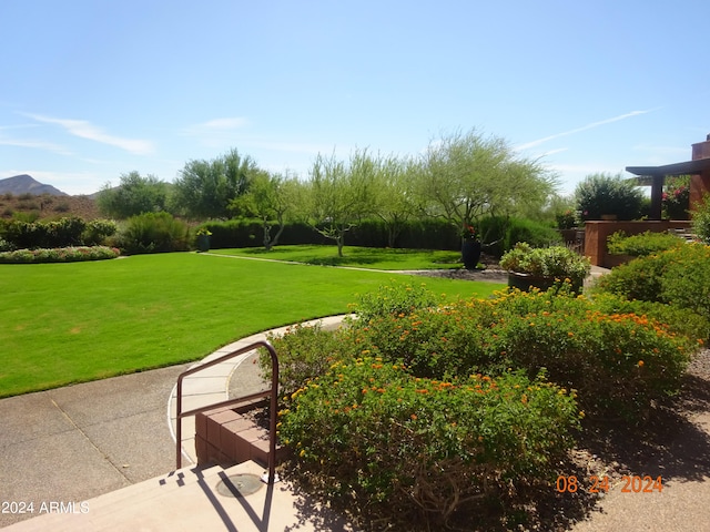 view of home's community with a yard and a mountain view