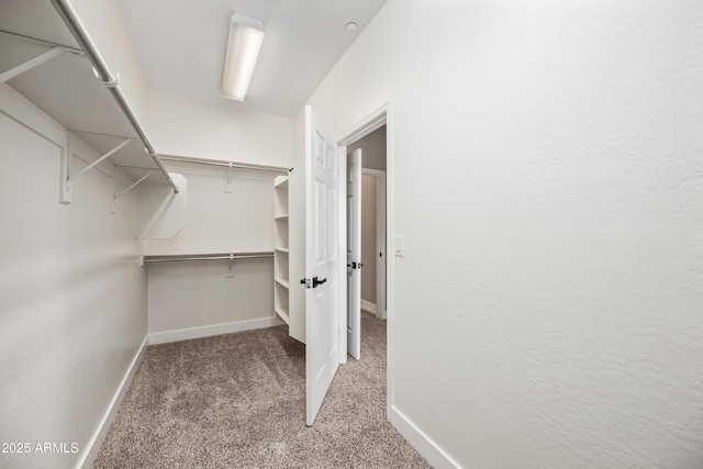 spacious closet featuring carpet floors