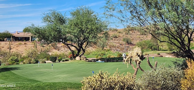 view of community with a lawn