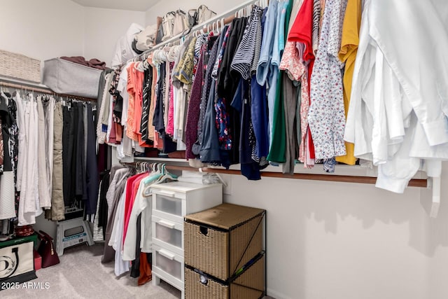 spacious closet featuring light carpet