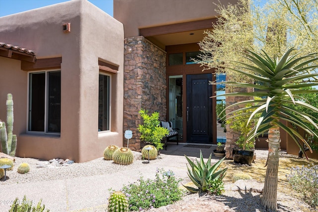 view of exterior entry with stone siding and stucco siding