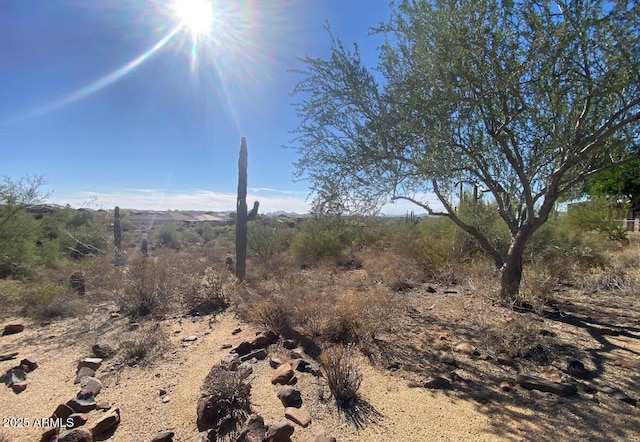 view of local wilderness