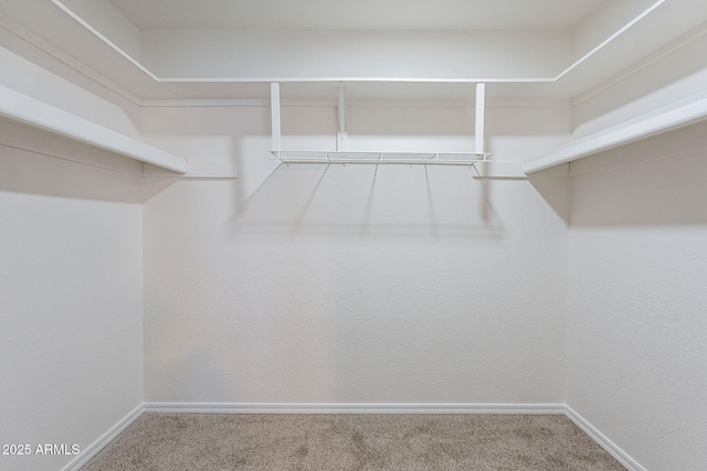 walk in closet with carpet