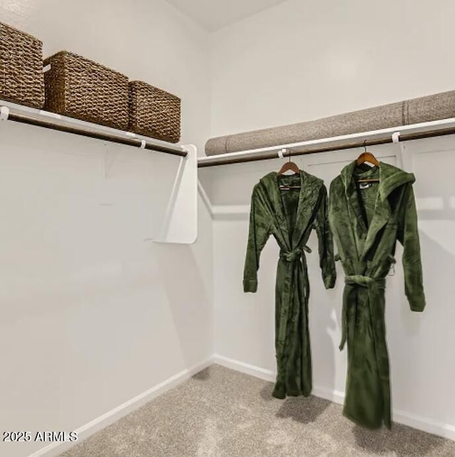 9621 W Monterey Way, Phoenix, AZ 85037 - spacious closet with light carpet