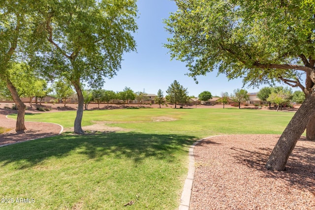 7725 S 47th Ln, Laveen, AZ 85339 - view of grassy yard