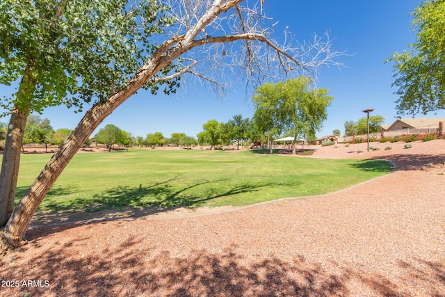 7725 S 47th Ln, Laveen, AZ 85339 - view of property's community with a yard