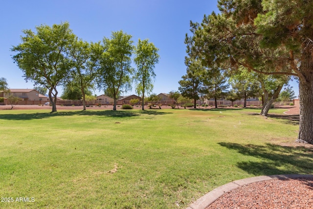 7725 S 47th Ln, Laveen, AZ 85339 - view of green lawn