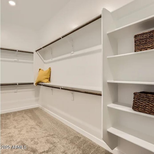 23244 W Tamarisk Ave, Buckeye, AZ 85326 - walk in closet featuring carpet