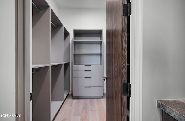 spacious closet with light wood-type flooring