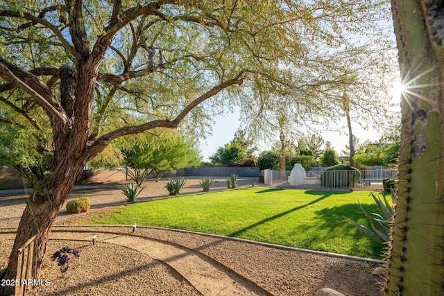 9035 W Villa Chula, Peoria, AZ 85383 - view of yard with a fenced backyard