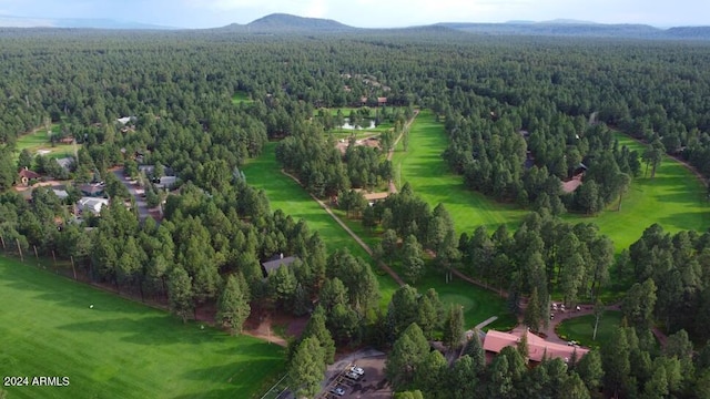2868 Park Cir Unit 38, Pinetop, AZ 85935 - aerial view featuring a mountain view