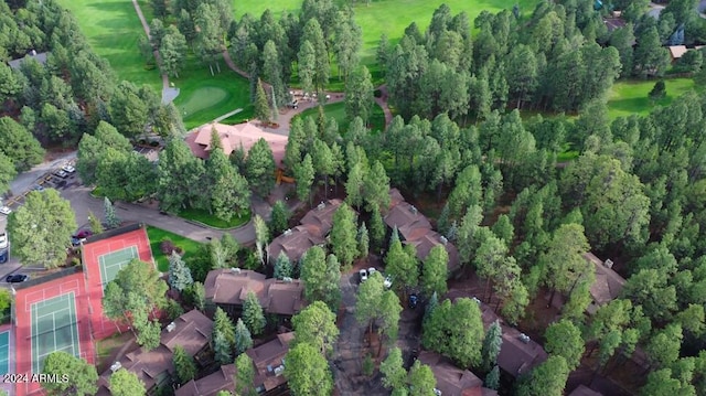 2868 Park Cir Unit 38, Pinetop, AZ 85935 - bird's eye view