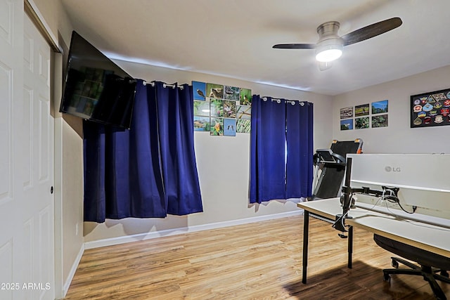 office featuring hardwood / wood-style floors and ceiling fan