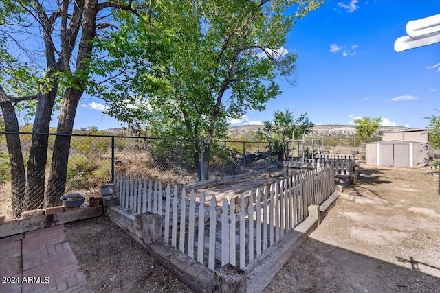 view of yard featuring a shed