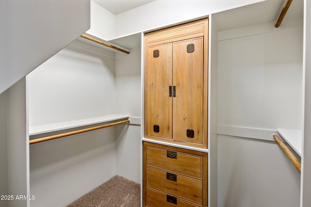 spacious closet featuring carpet flooring