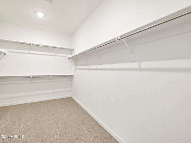 walk in closet featuring carpet floors