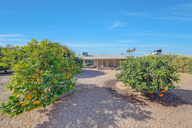 ranch-style house featuring a patio