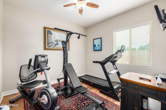 exercise area featuring ceiling fan and hardwood / wood-style flooring