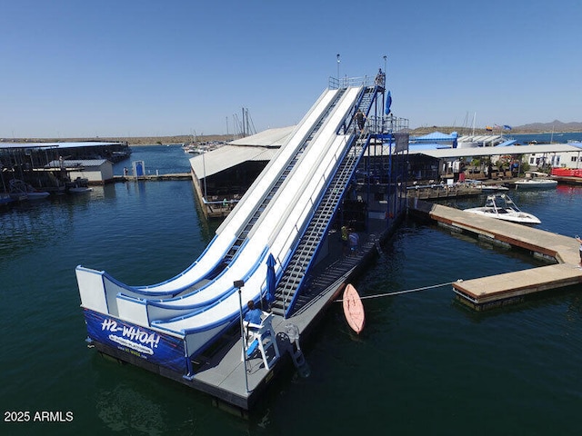 dock area with a water view