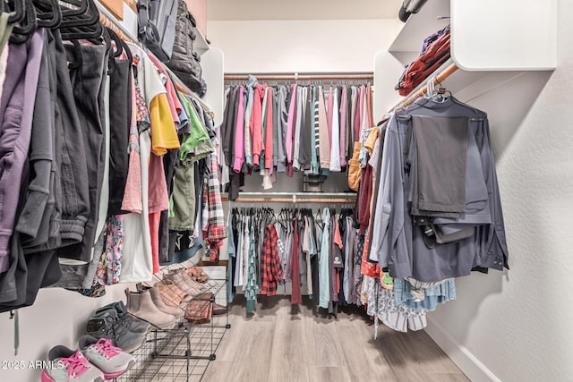 walk in closet with hardwood / wood-style flooring