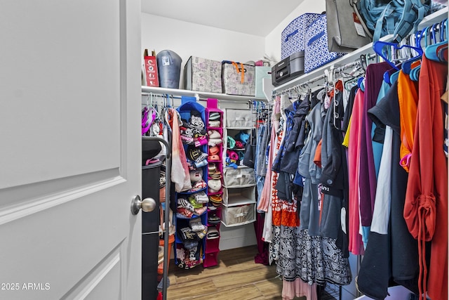 19239 W Elm St, Litchfield Park, AZ 85340 - walk in closet featuring wood finished floors