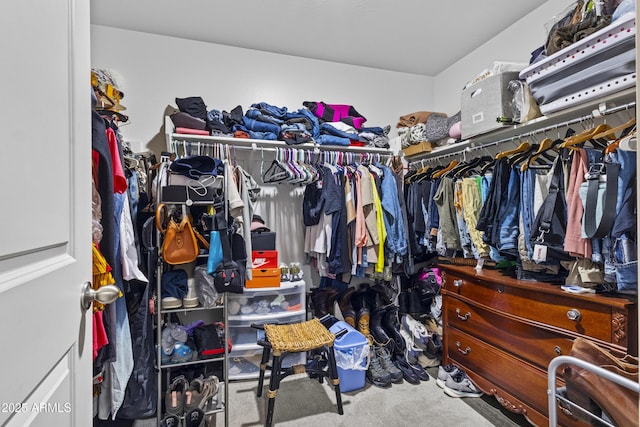 19239 W Elm St, Litchfield Park, AZ 85340 - walk in closet with carpet