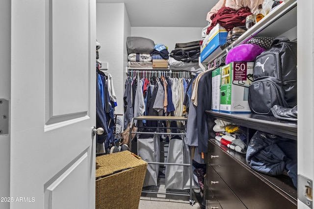 19239 W Elm St, Litchfield Park, AZ 85340 - view of walk in closet