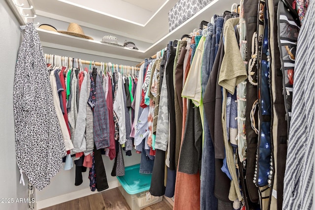 walk in closet with wood finished floors