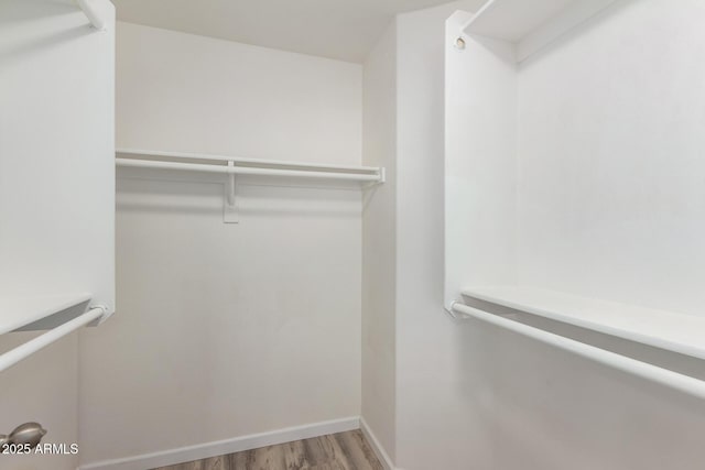 walk in closet featuring hardwood / wood-style flooring