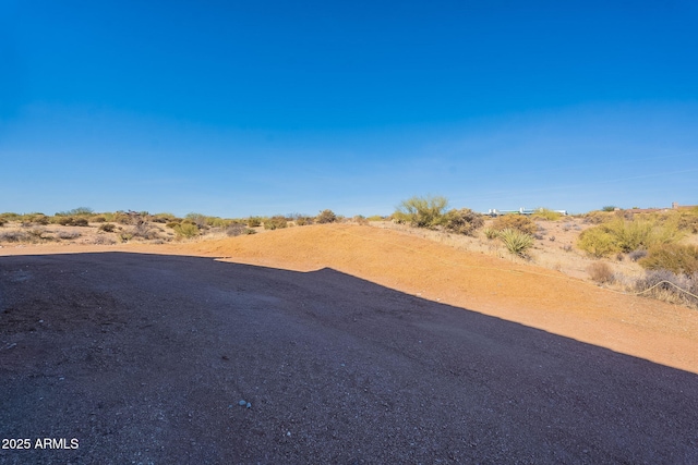 25572 N 119th St, Scottsdale, AZ 85255 - view of yard