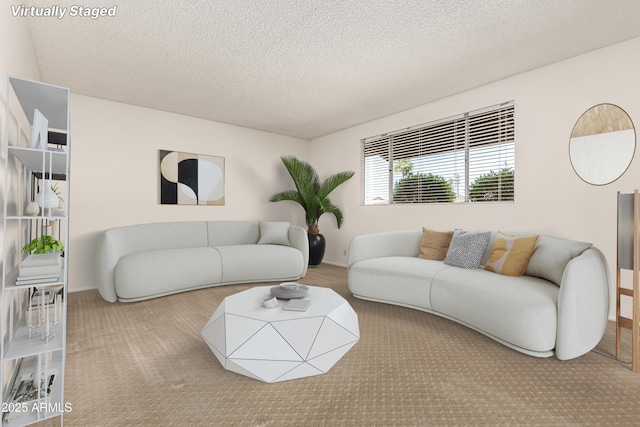 518 N Cheri Lynn Dr, Chandler, AZ 85225 - carpeted living area featuring a textured ceiling