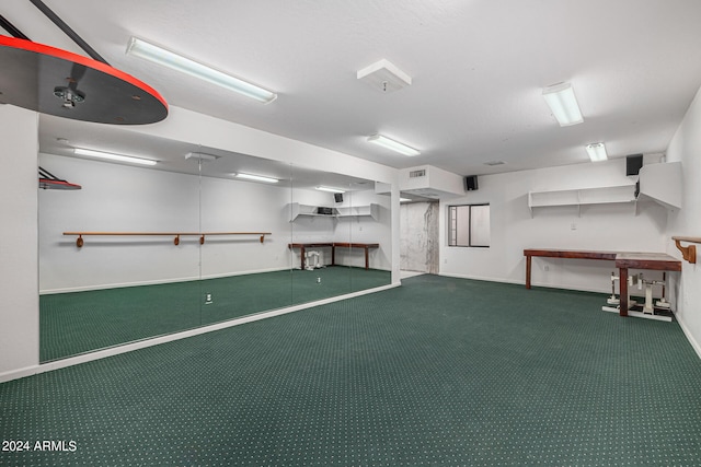 basement with carpet