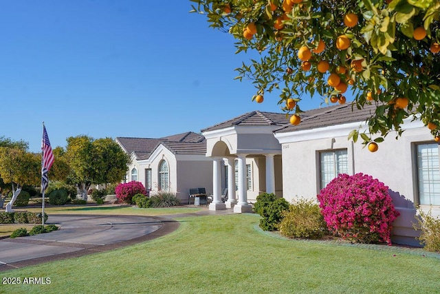 view of front facade with a front yard