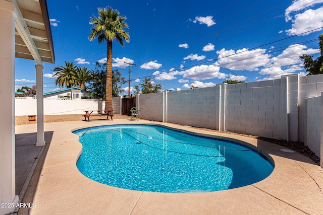 1203 E Bishop Dr, Tempe, AZ 85282 - view of swimming pool with a patio, a fenced backyard, and a fenced in pool