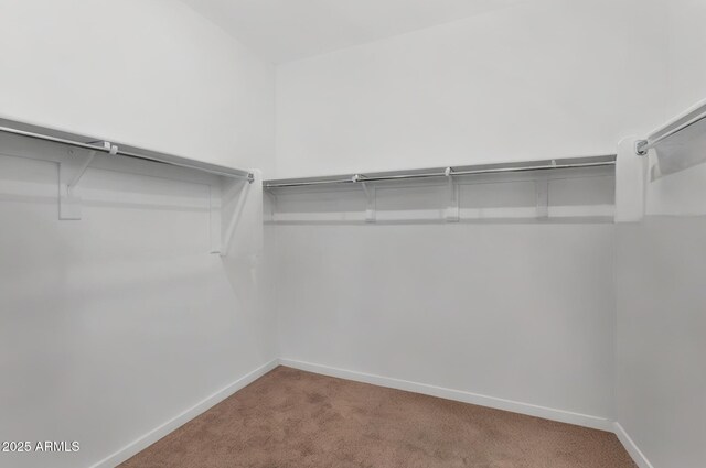 22560 E Rosa Rd, Queen Creek, AZ 85142 - walk in closet featuring carpet flooring