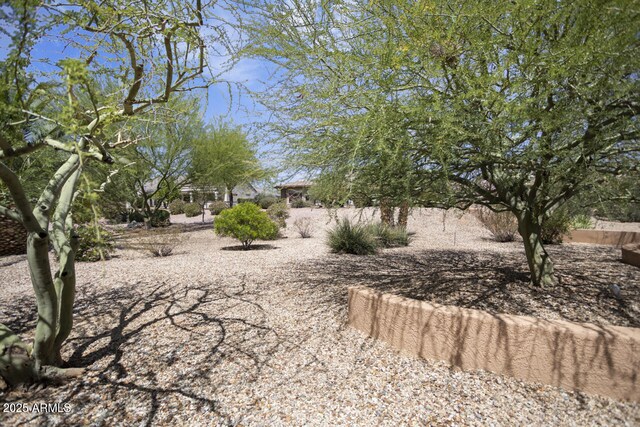 19714 N Concord Dr, Surprise, AZ 85374 - view of yard