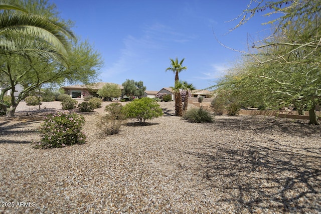 19714 N Concord Dr, Surprise, AZ 85374 - view of yard